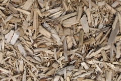 biomass boilers Rhosnesni
